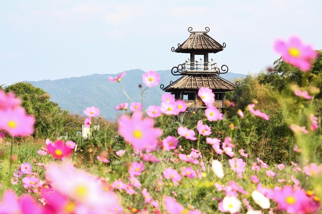 pixta_8752737_S